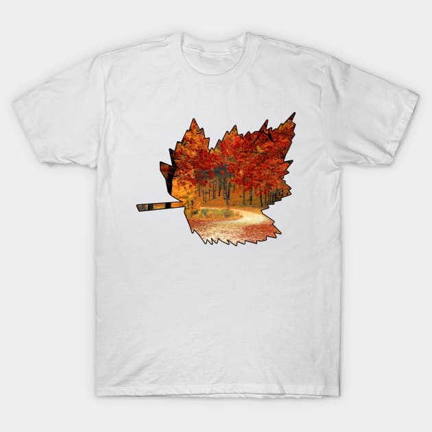 Maple Leaf Outline (Fall Colors) T-Shirt by gorff